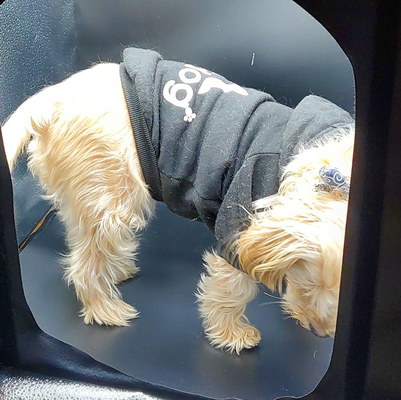 donkeykong64